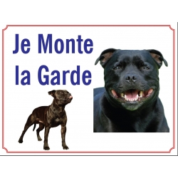 Chien staffie