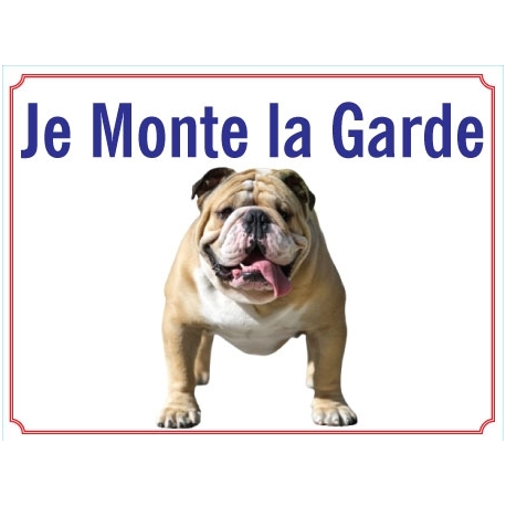 bouledog-anglais