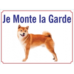Shiba-Inu