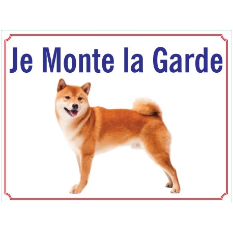Shiba-Inu