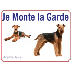 Airedale-Terrier 