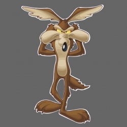 Coyote qui court couleur 