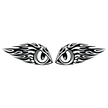 Décoration capot oeil de faucon 