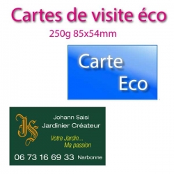 Carte de visite Eco